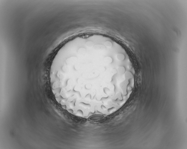 X0000111881496200908131622