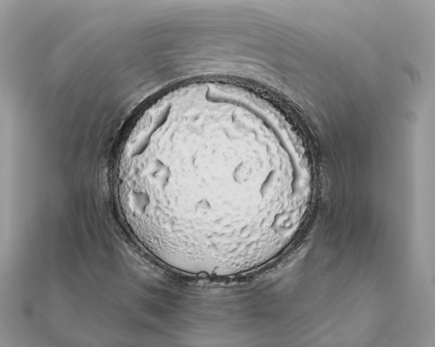 X0000111881497200908131622