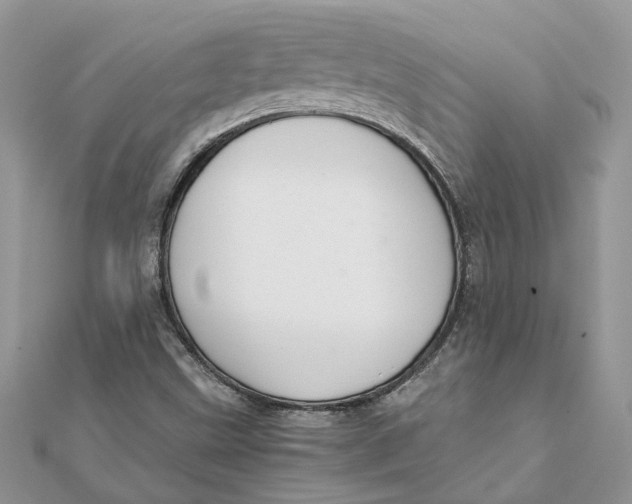 X0000111881499200908131622