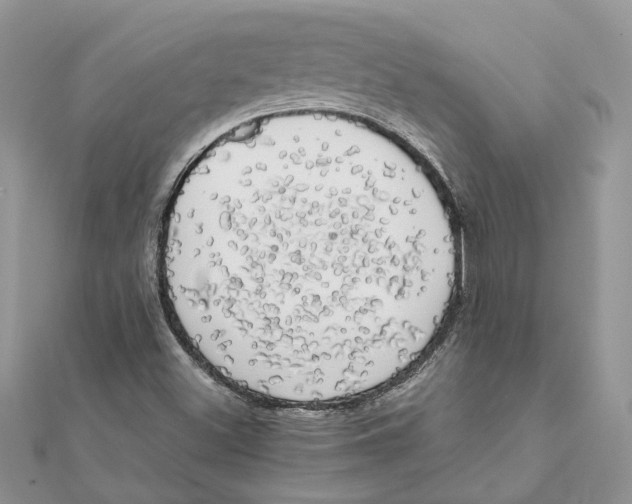 X0000111881500200908131622