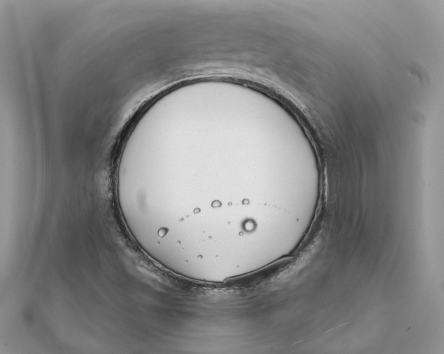 X0000111881501200908131622