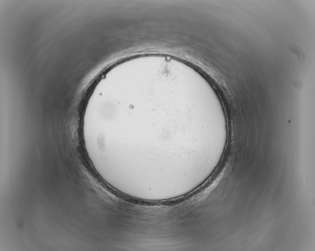 X0000111881502200908131622