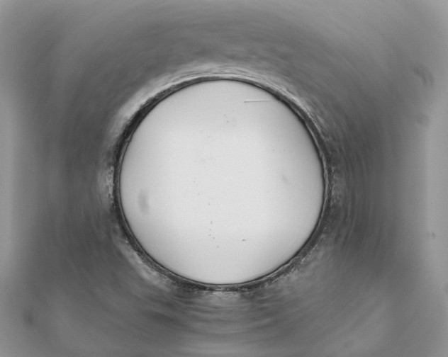 X0000111881503200908131622