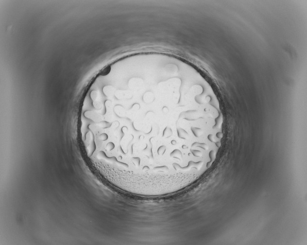 X0000111881504200908131622