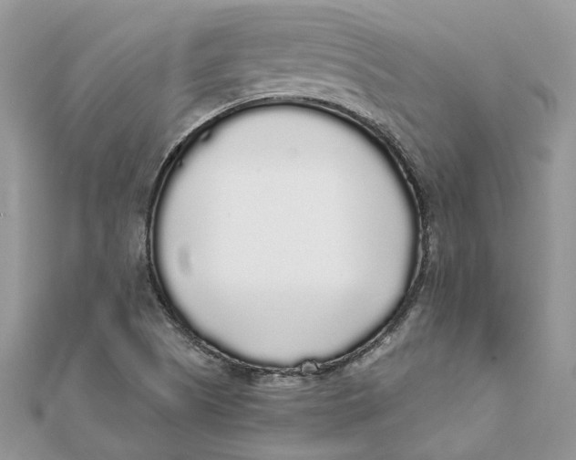 X0000111881505200908131622