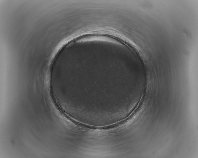 X0000111881506200908131622