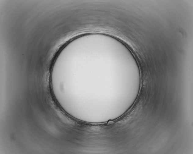 X0000111881507200908131622