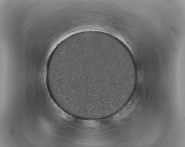 X0000111881508200908131622