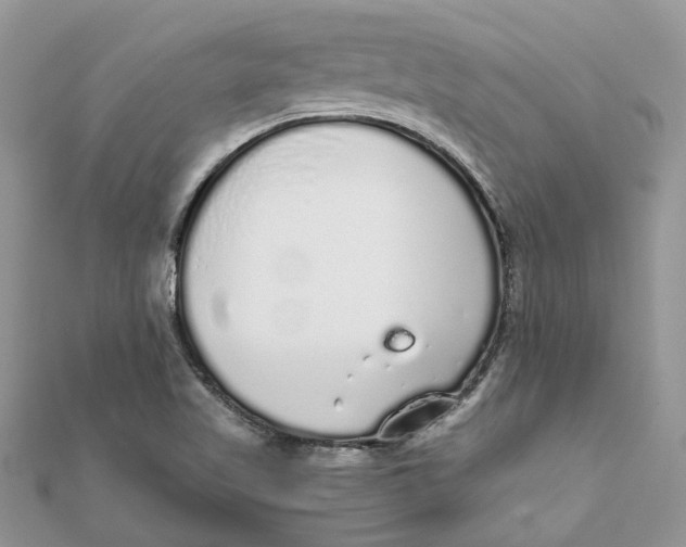 X0000111881509200908131622