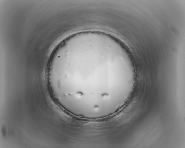 X0000111881510200908131622