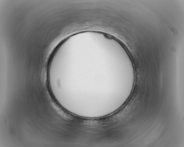 X0000111881511200908131622