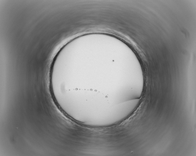 X0000111881512200908131622