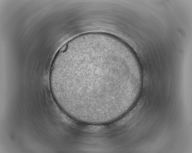 X0000111881513200908131622