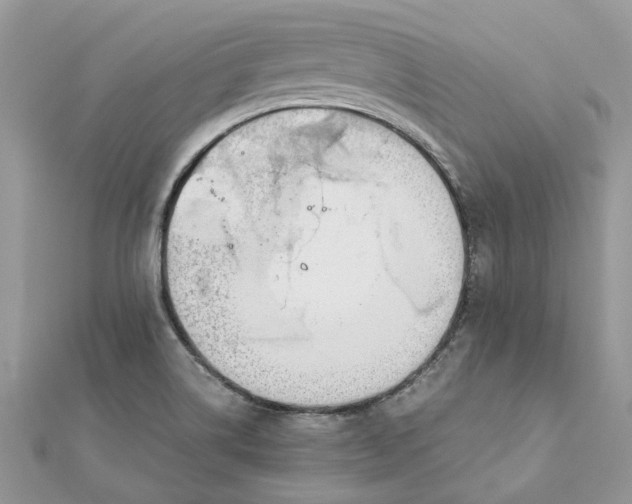 X0000111881514200908131622