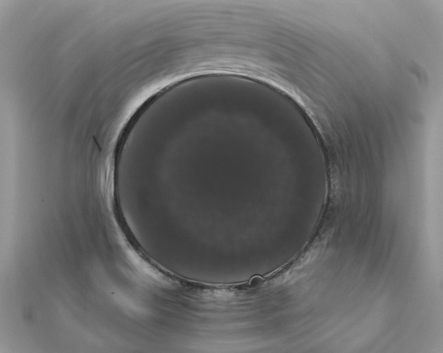 X0000111881515200908131622