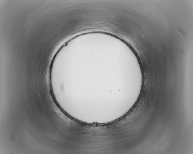 X0000111881516200908131622