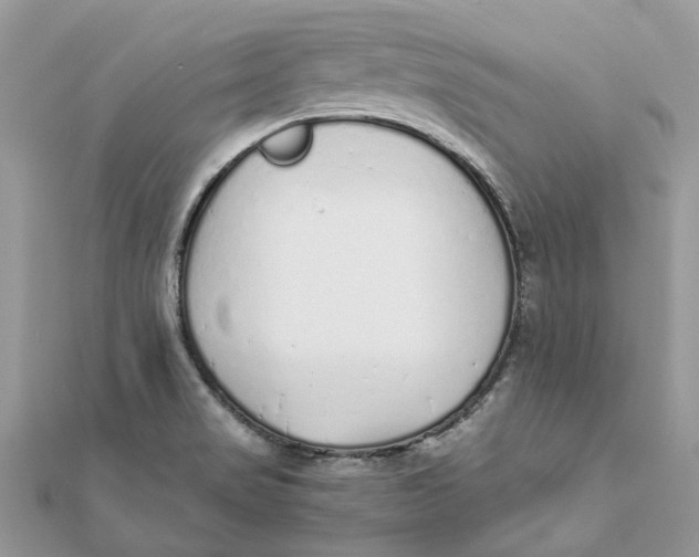 X0000111881517200908131622