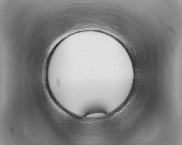 X0000111881518200908131622