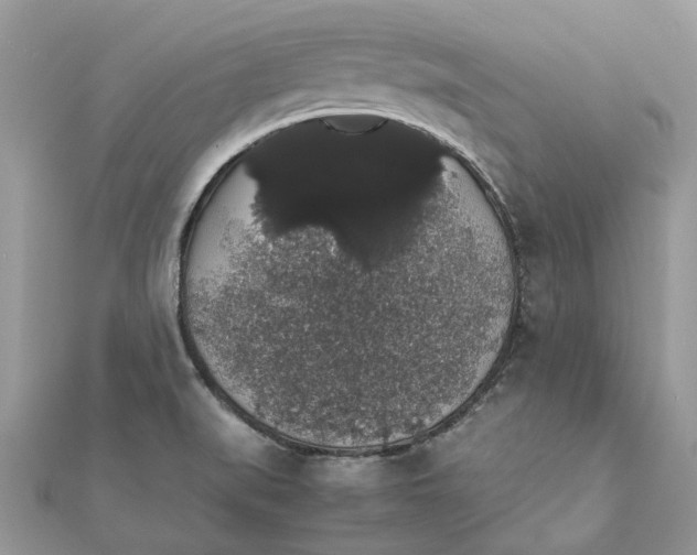 X0000111881519200908131622