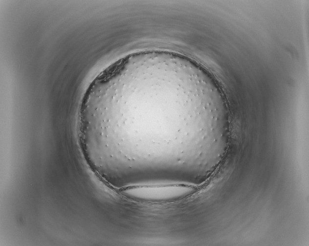 X0000111881520200908131622