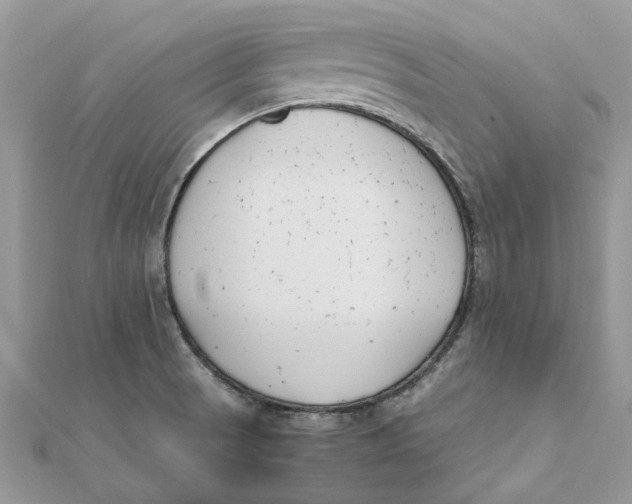 X0000111881521200908131622