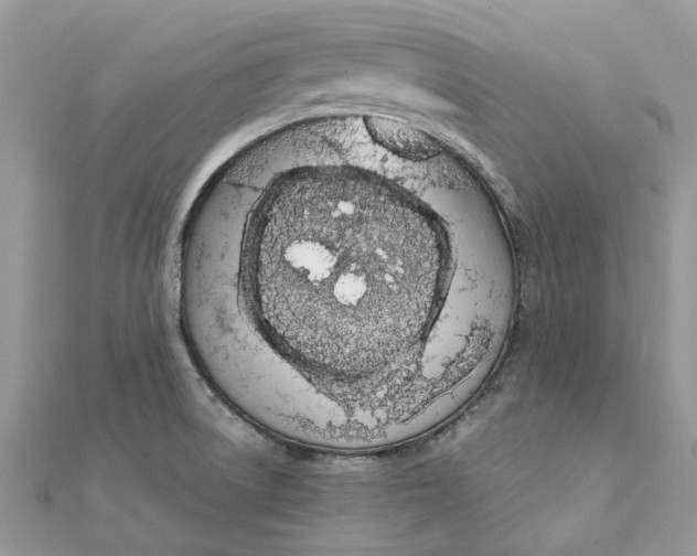 X0000111881522200908131622