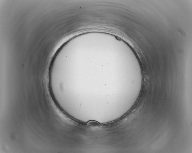 X0000111881523200908131622