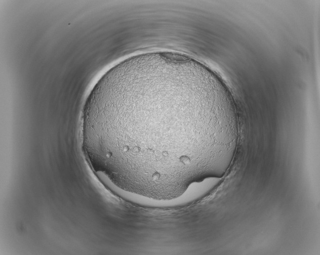 X0000111881524200908131622