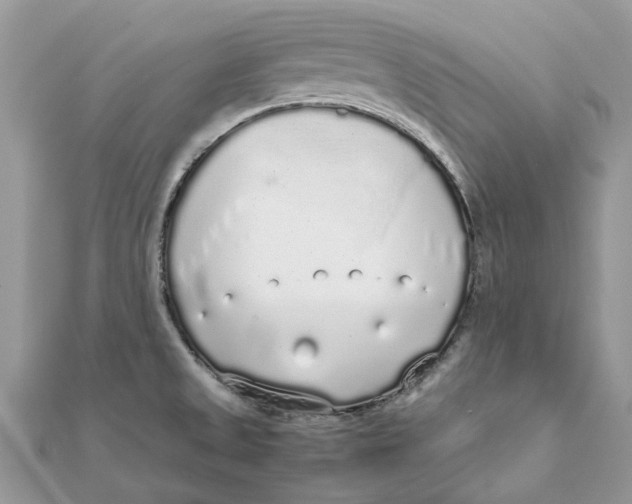 X0000111881525200908131623