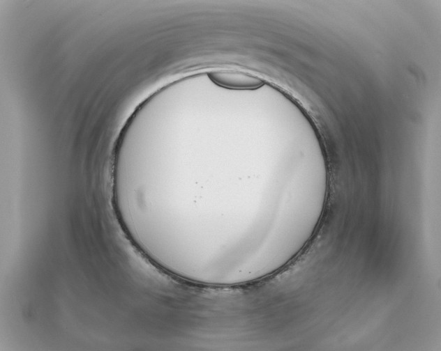 X0000111881526200908131623