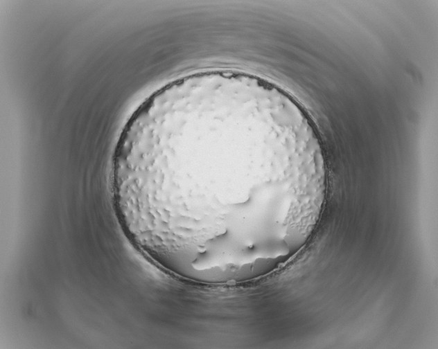 X0000111881527200908131623