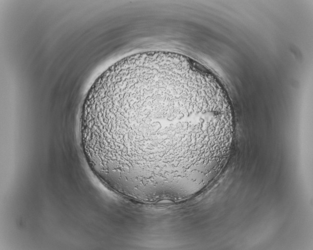 X0000111881528200908131623