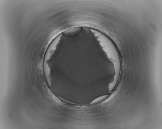 X0000111881529200908131623