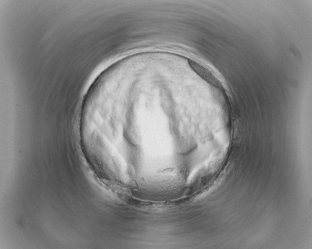 X0000111881530200908131623