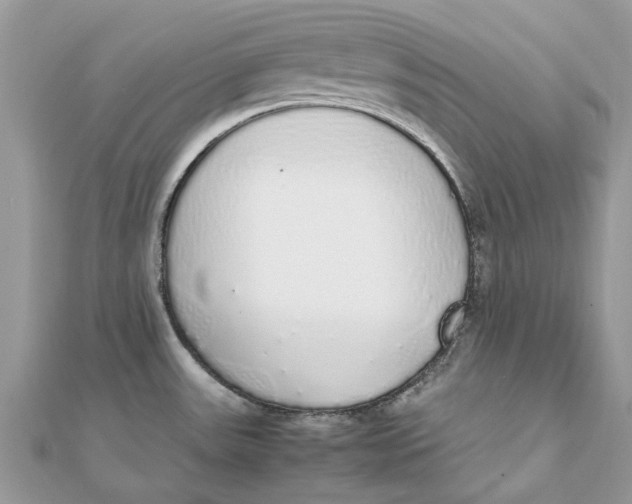 X0000111881531200908131623