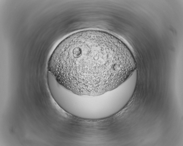 X0000111881532200908131623