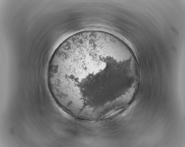 X0000111881533200908131623