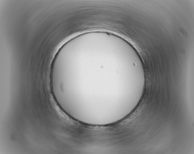 X0000111881534200908131623