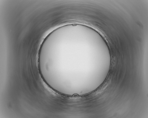 X0000111881535200908131623