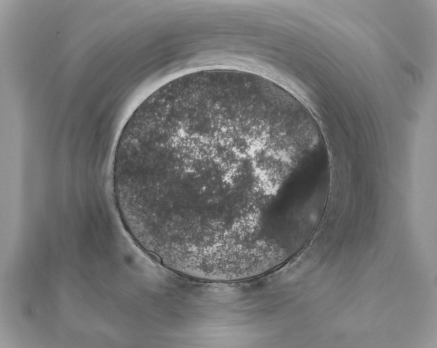 X0000111881536200908131623