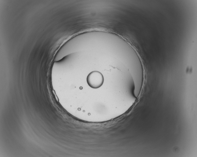 X0000111880001200908201308