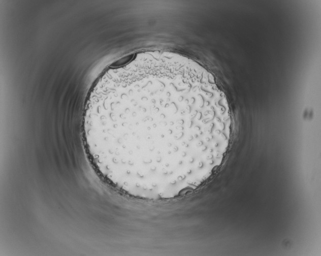 X0000111880003200908201308
