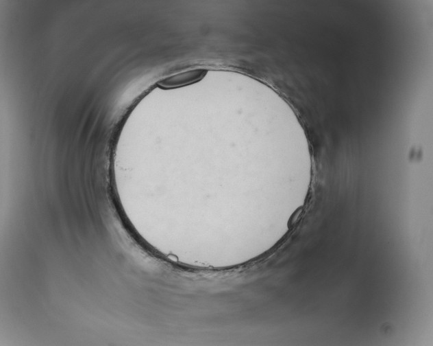 X0000111880005200908201308