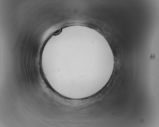 X0000111880006200908201308