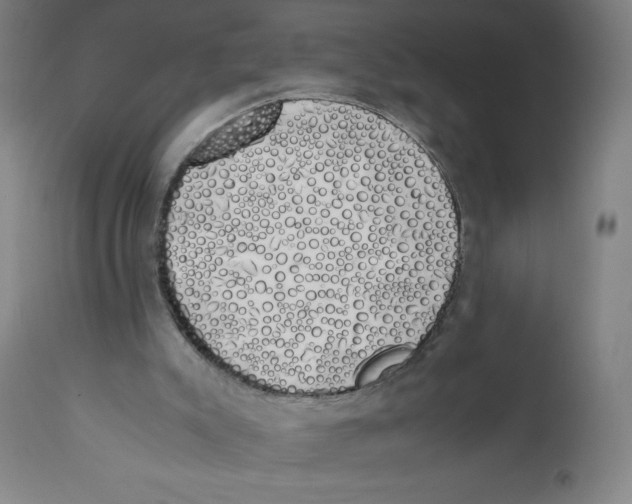 X0000111880007200908201308