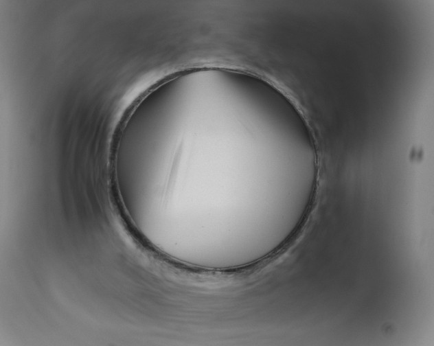 X0000111880008200908201308