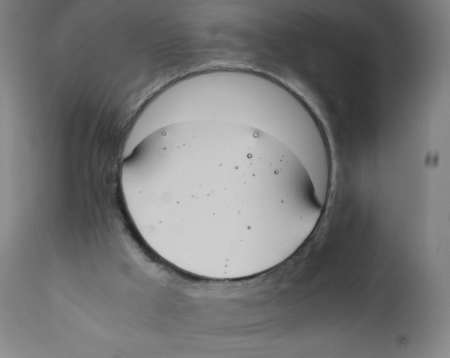 X0000111880009200908201308