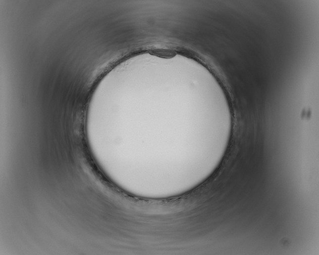 X0000111880010200908201308