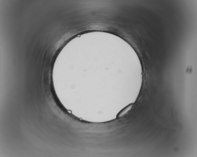 X0000111880011200908201308
