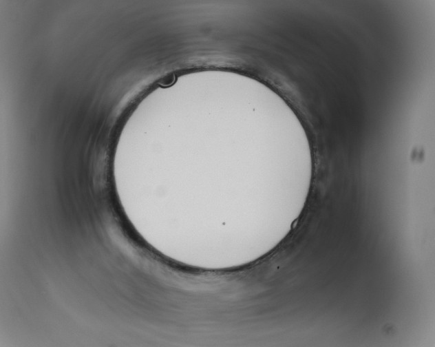 X0000111880012200908201308